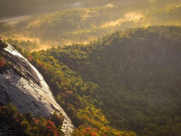 Echipa Auto Service Cristian din Luduș — mecanic specializat în Dacia, Renault, Volkswagen și Skoda
